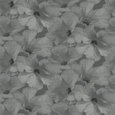 Annuell Hibiscus grijs 11003