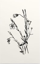 Geelhartje zwart-wit (Linum Cartharticum) - Foto op Forex - 30 x 45 cm