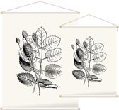 Grote Pimpernel zwart-wit (Great Burnet) - Foto op Textielposter - 120 x 160 cm