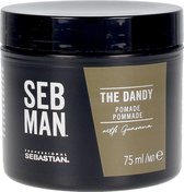 Sebastian Professional - Seb Man The Dandy Shiny Pommade - Hairmade