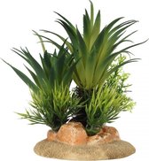 Auqa Della Sagopalm small S - 13,5x10x16cm