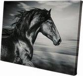 Paard zwart wit close up | 30  x 20 CM | Wanddecoratie | Dieren op canvas | Schilderij | Canvasdoek | Schilderij op canvas