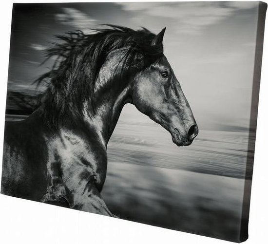 Paard zwart wit close up | 30  x 20 CM | Wanddecoratie | Dieren op canvas | Schilderij | Canvasdoek | Schilderij op canvas