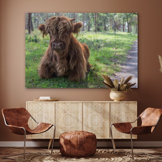 MuchoWow® Glasschilderij 180x120 cm - Schilderij acrylglas - Schotse Hooglander - Pad - Dieren - Foto op glas - Schilderijen