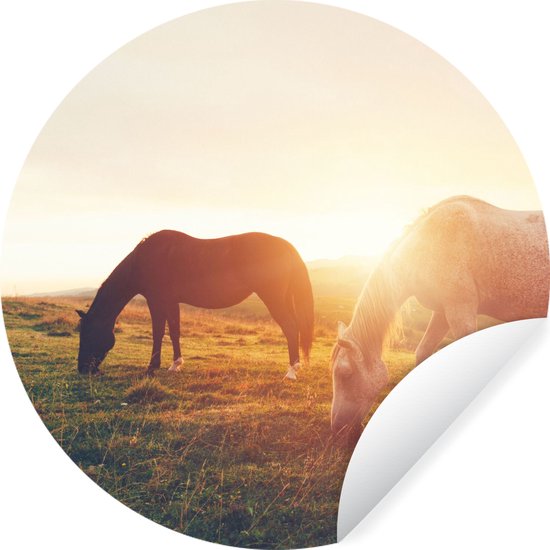 Paarden muurstickers, voor de echte liefhebber