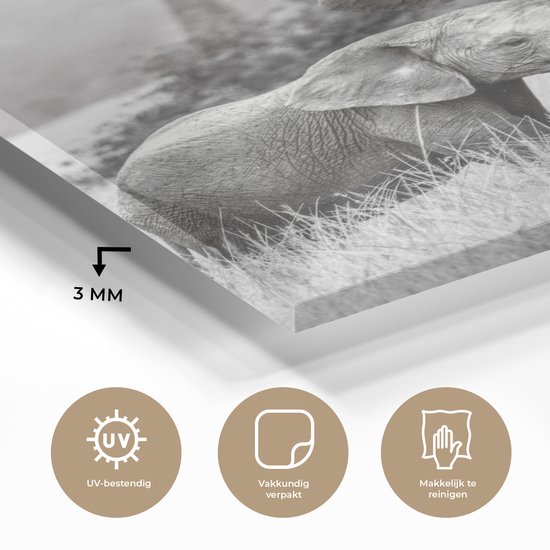 MuchoWow® Tableau en verre 30x40 cm - Peinture sur verre acrylique - Éléphant - Animaux - Nature - Noir et blanc - Photo sur verre - Tableaux