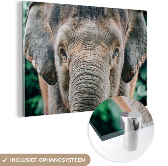 MuchoWow® Glasschilderij - Close-up portret van een olifant - Acrylglas Schilderijen - Foto op Glas