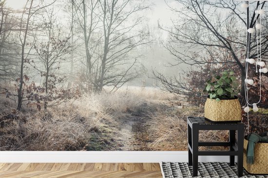 Papier peint photo Forêt dans la brume - Papier peint non tissé - 520 x 318 cm