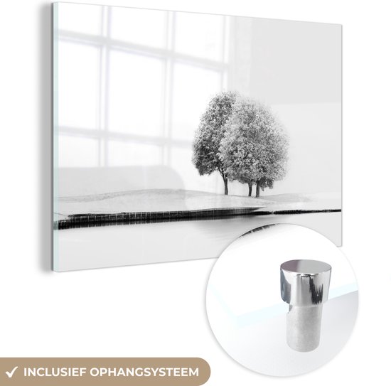 Peinture sur verre - Arbre - Zwart - Wit - Nature - Peinture sur verre - Photo sur verre - 150x100 cm - Décoration maison