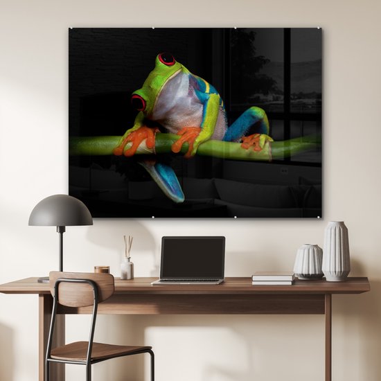 Peinture sur verre - Grenouille - Animaux - Vert - Oranje - Rouge - Photo sur verre - Peinture sur verre - 120x90 cm - Décoration murale