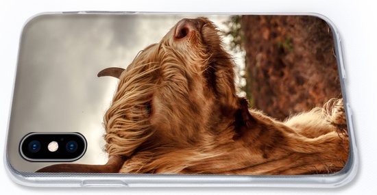Coque iPhone Xs - Scottish Highlander - Arbuste - Bruyère - Siliconen