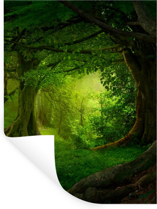 Un sticker photo d'une forêt verte avec un chemin.