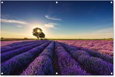 Tuinposter lavendel - Tuindecoratie bloemen - 120x80 cm - Wanddecoratie voor buiten - Schutting decoratie paars - Buitenposter - Paarse schuttingdoek - Tuindoeken - Tuin doek - Balkon poster