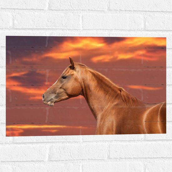 Muursticker - Zijaanzicht van Glanzend Bruin Paard onder Oranje Gloed in de Lucht - 60x40 cm Foto op Muursticker