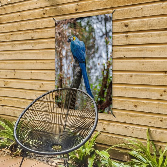 Tuinposter 60x90 cm - Tuindecoratie Vogel - Papegaai - Blauw - Poster voor in de tuin - Buiten decoratie - Schutting tuinschilderij - Tuindoek muurdecoratie - Wanddecoratie balkondoek