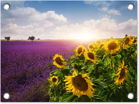 Tuin decoratie De zonnebloemen naast lavendelveld - 40x30 cm - Tuindoek - Buitenposter