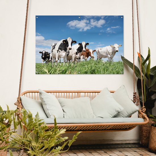 Affiche jardin - Toile jardin - Affiches jardin extérieur - Vaches - Campagne - Pâturage - Nature - Animaux - Posters de jardin cm - Jardin