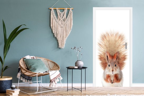 Sticker de porte Écureuil - Animaux - Nature - Oranje - Wit - 85x205 cm - Poster de porte