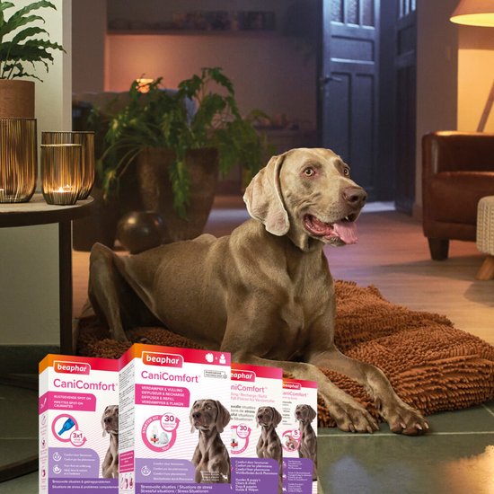 Beaphar CaniComfort® Navulling