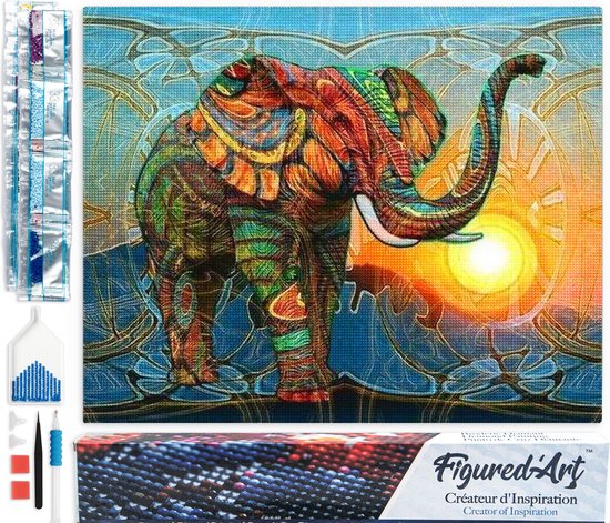 Figured'Art Diamond Painting set Volwassenen 40x50 cm Artistieke Olifant - 5D DIY Art full drill vierkante diamant - Opgerold canvas