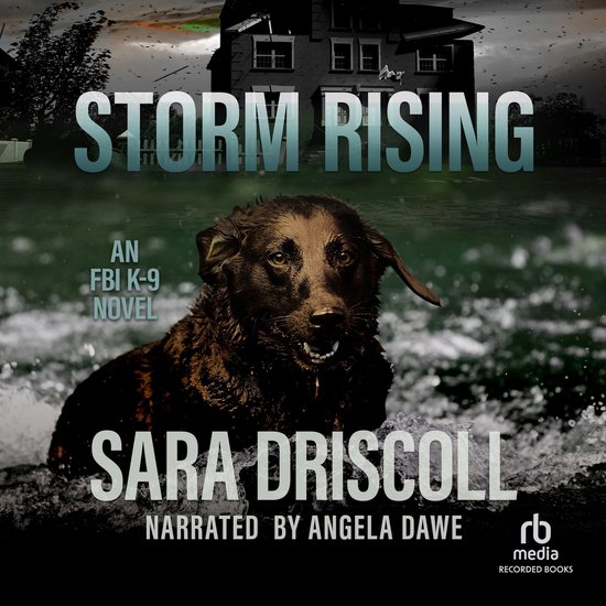 Storm Rising - cover