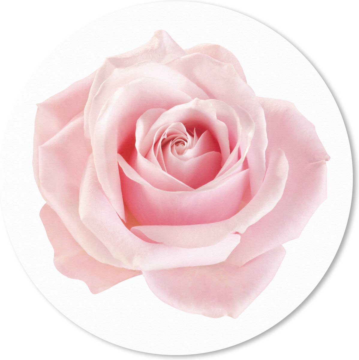 Muismat rond 20x20 cm - Mousepad Roos - Roze - Bloemen - Ronde muismatten
