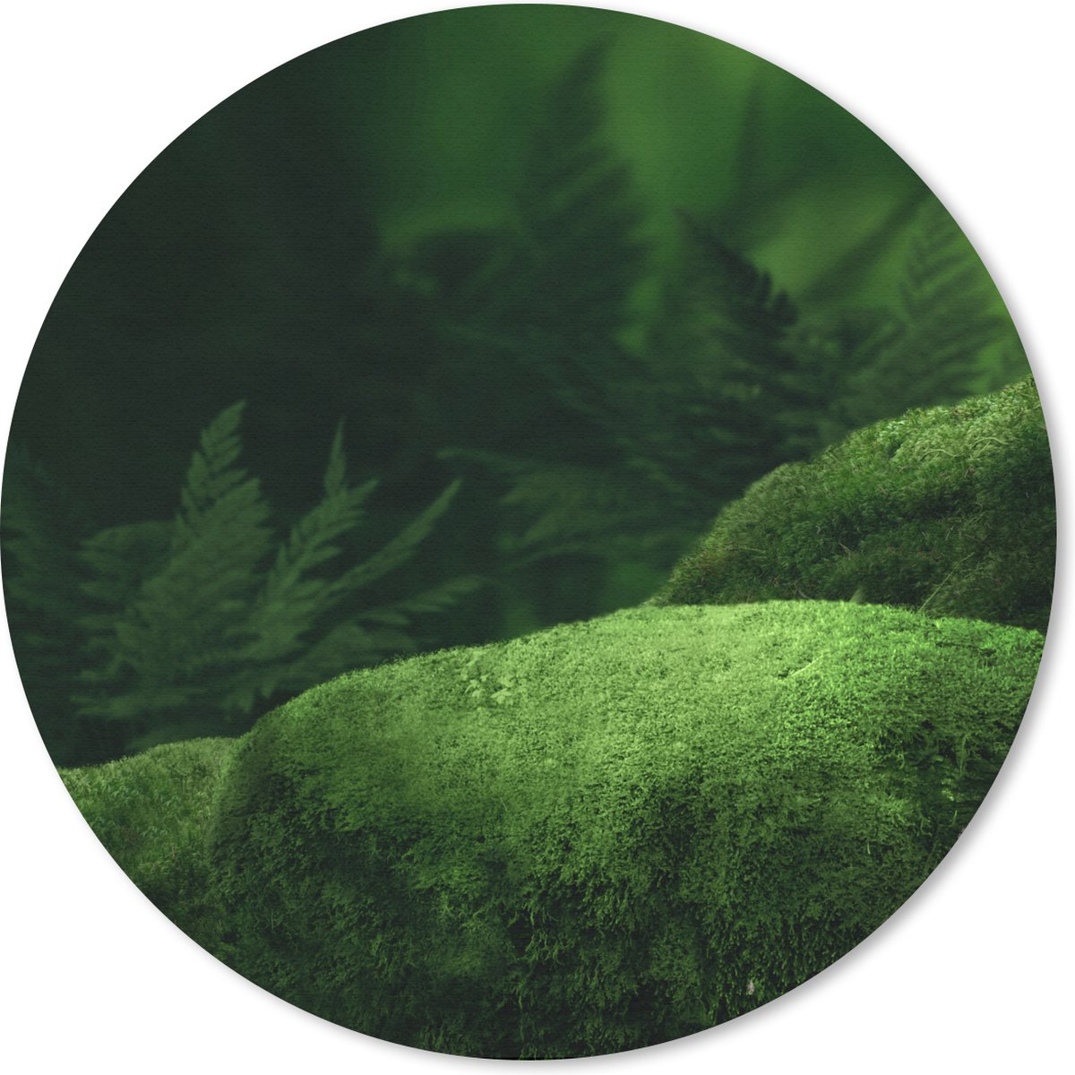 Muismat rond 20x20 cm - Mousepad Mos - Steen - Bos - Ronde muismatten