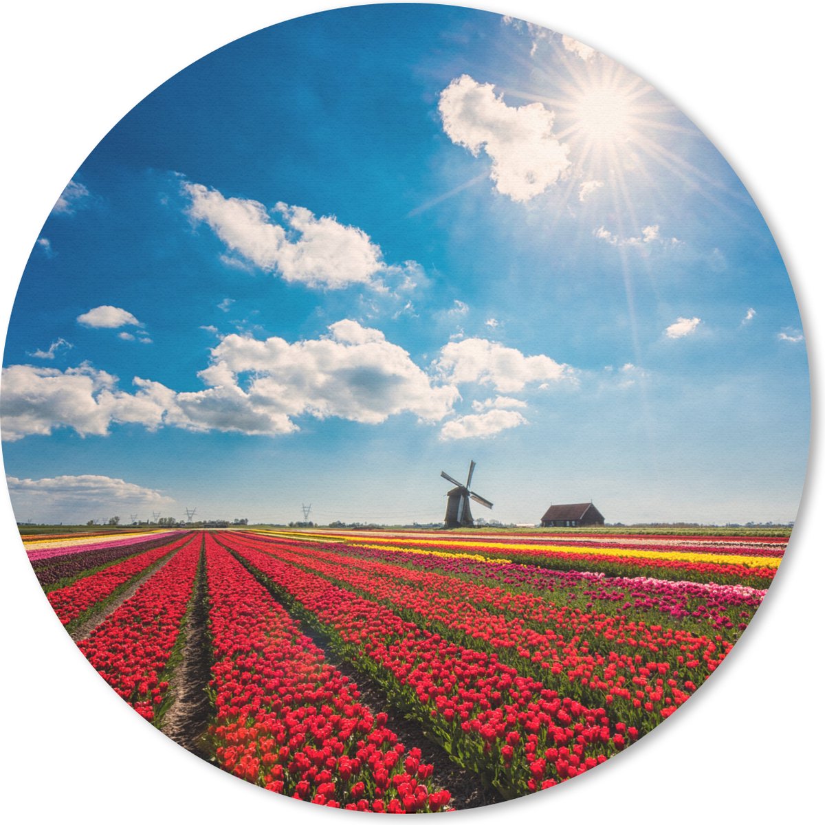 Muismat rond 20x20 cm - Mousepad Indrukwekkend tulpenveld in Nederland - Ronde muismatten