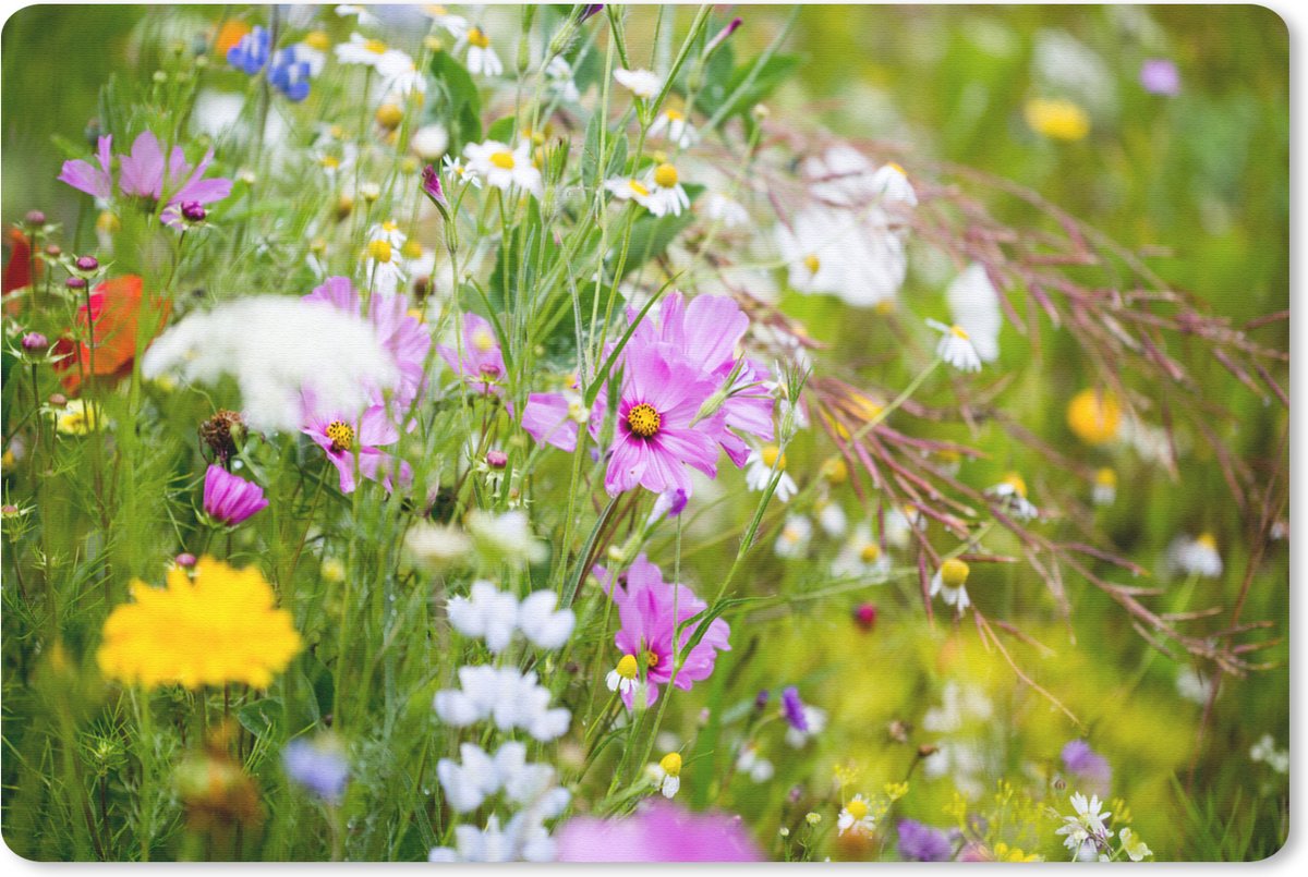 Muismat 27x18 cm - Mousepad Bloemen - Natuur - Groen - Gras - Paars - Wit - Muismatten