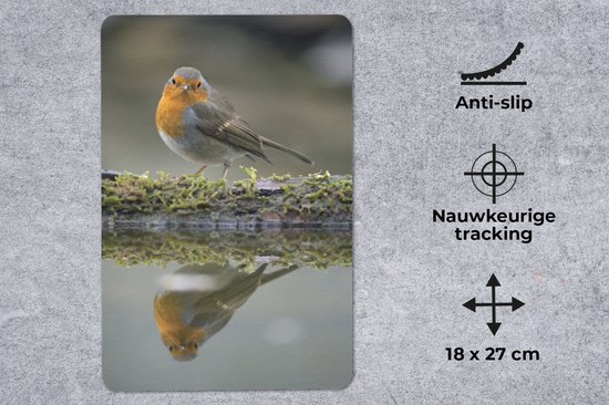 Muismat - Mousepad - Roodborstje - Water - Mos - 18x27 cm - Muismatten