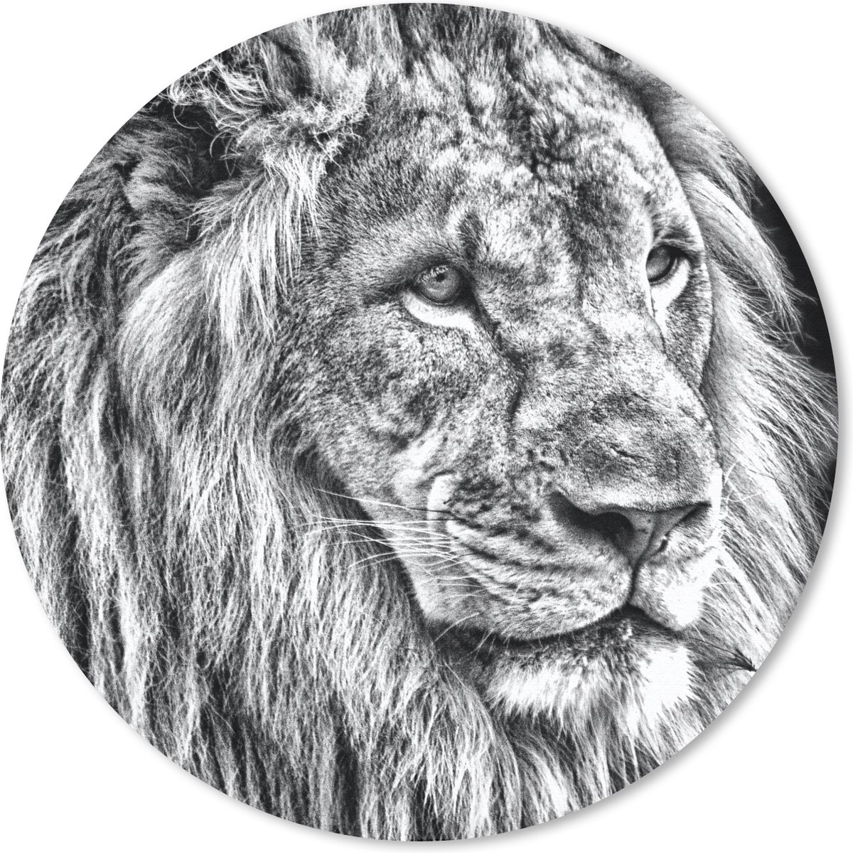 Muismat rond 40x40 cm - Mousepad Portret - Leeuw - Zwart wit - Ronde muismatten