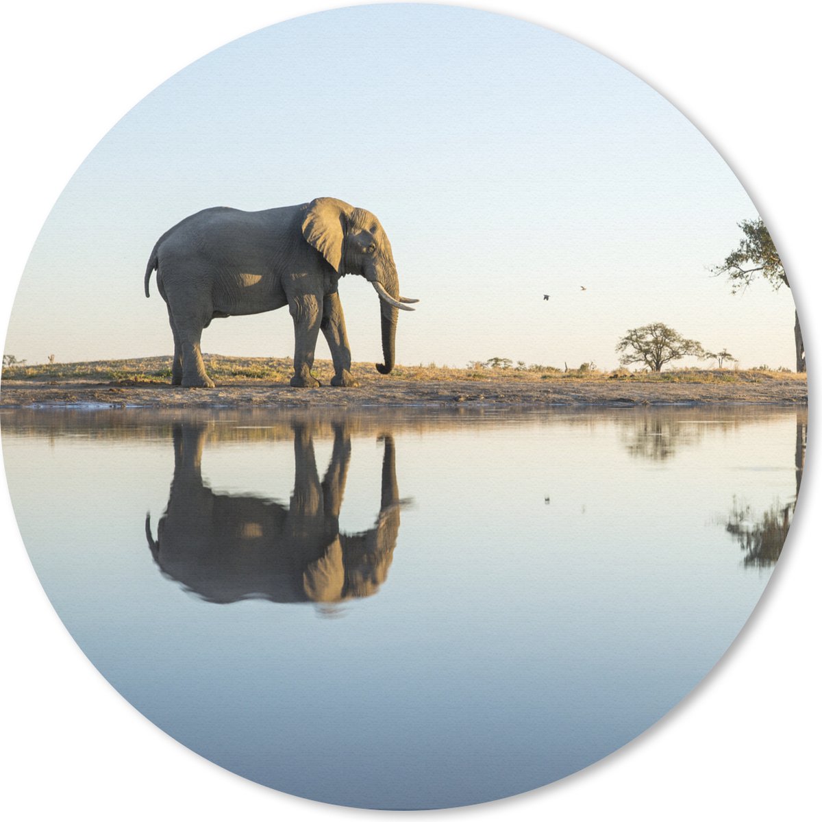 Muismat rond 30x30 cm - Mousepad Olifant - Water - Bomen - Dieren - Natuur - Ronde muismatten