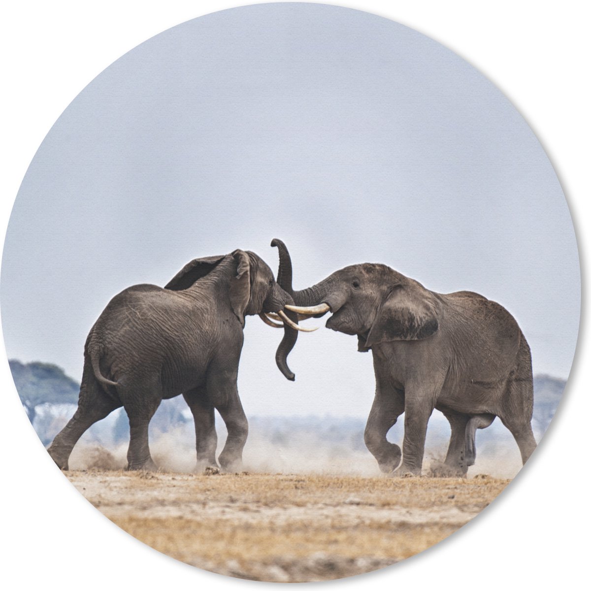 Muismat rond 30x30 cm - Mousepad Olifant - Dieren - Vlakte - Natuur - Ronde muismatten