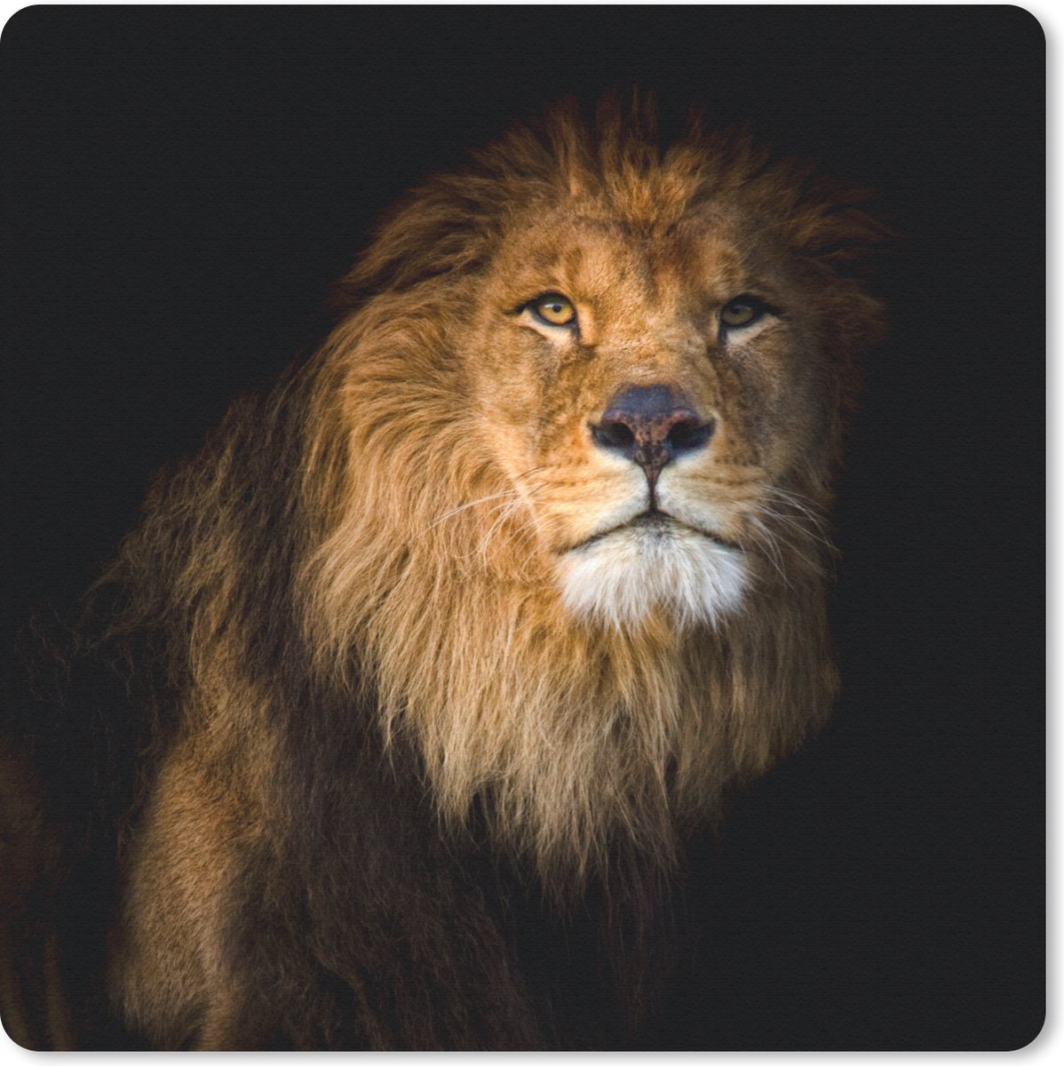 Muismat 30x30 cm - Mousepad Leeuw - Licht - Zwart - Portret - Muismatten