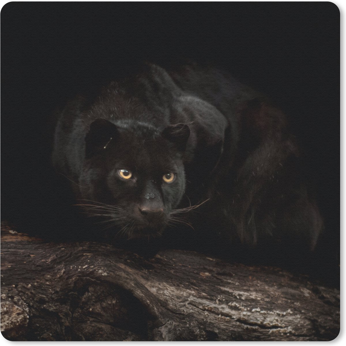 Muismat 20x20 cm - Mousepad Panter - Bos - Ogen - Muismatten