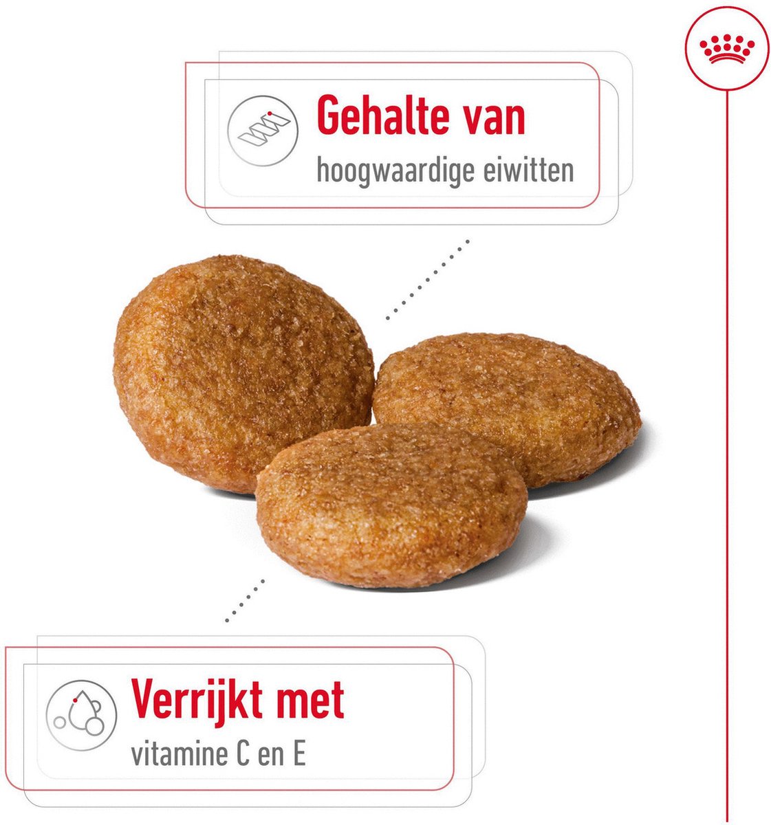 Royal Canin Medium Adult - Hondenvoer