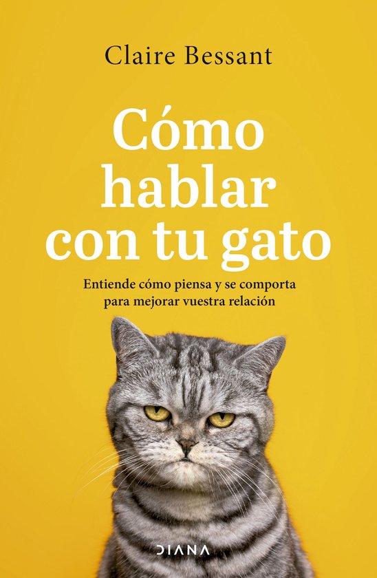 Autoconocimiento - Cómo hablar con tu gato - cover