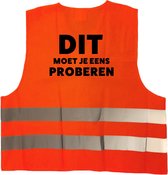 Dit moet je eens proberen hesje - oranje reflecterende strepen - volwassenen - beurzen / markten / events - veiligheidsvest werkkleding