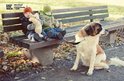 Twee kinderen met teddyberen op een bankje, met een hond aan een zwarte riem.