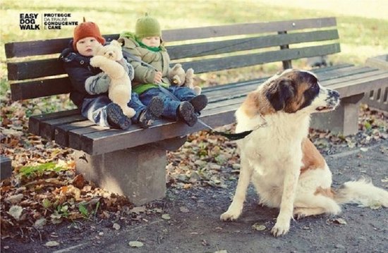 Twee kinderen met teddyberen op een bankje, met een hond aan een zwarte riem.