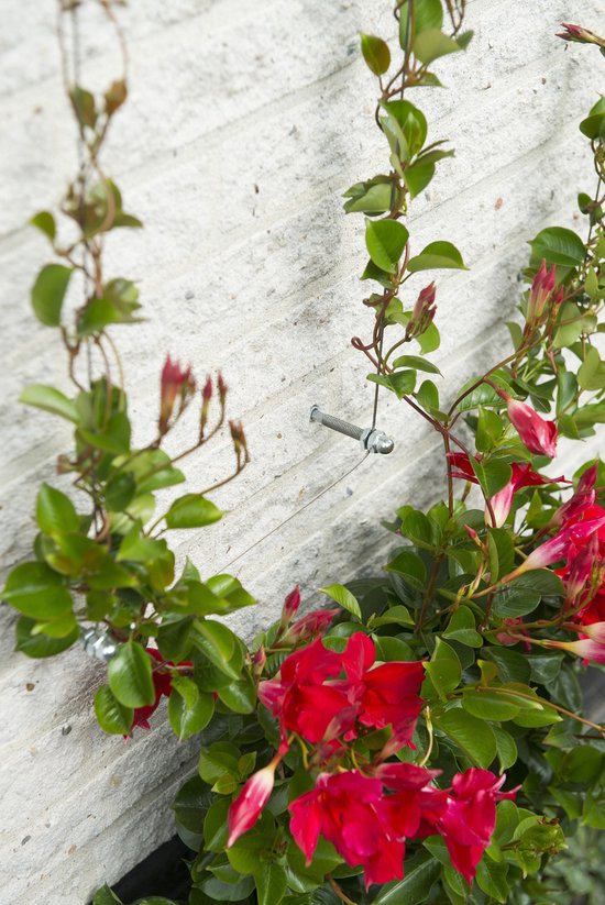 Nature - Spandraadsysteem voor klimplanten - 10m - verzinkte kabel - spandraad