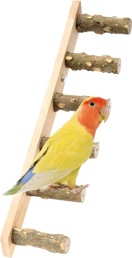 2 Stuks Papegaaienzitstok Met Zuignappen – Natuurlijk Hout, Inklapbaar, Geschikt Voor Raam, Douche, Badkuip En Muur