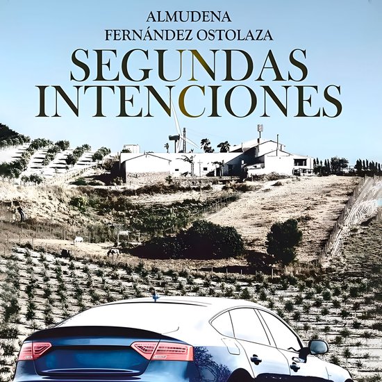 Segundas intenciones - cover