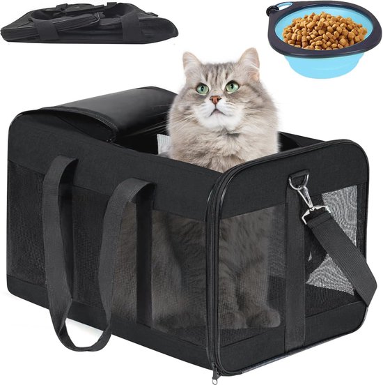 De beste reiskoffers voor katten zodat je ze op een