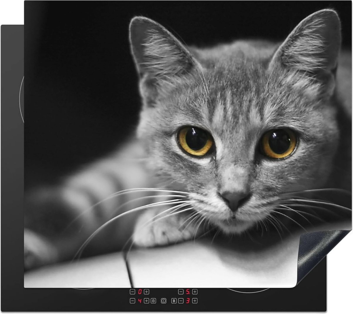 Inductiebeschermer voor kookplaat - Vinyl - Dierlijke print 60x52 cm