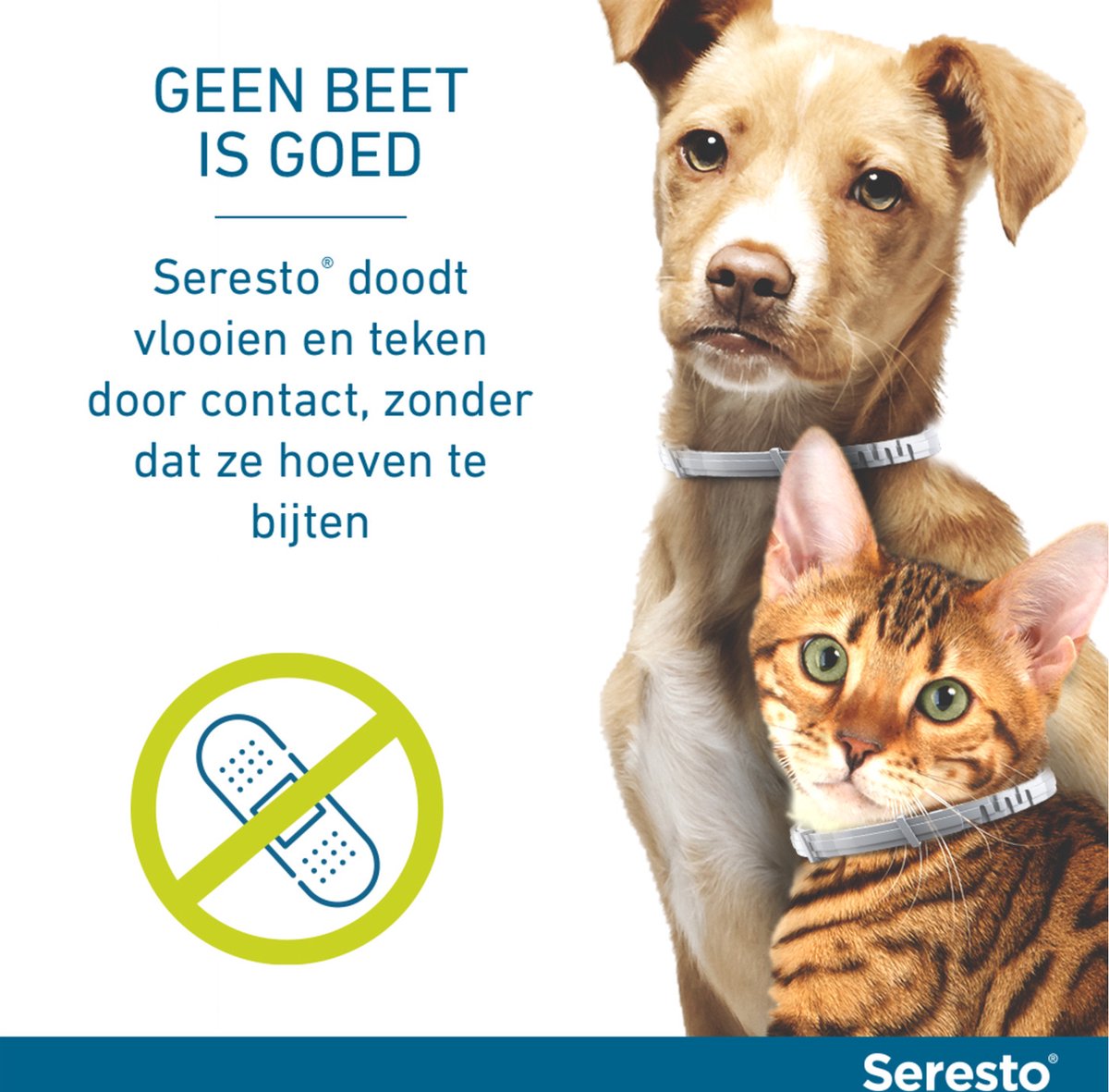Seresto teken- en vlooienband kat 38 cm thumbnail 4