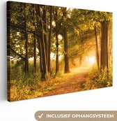 Canvas schilderij 90x60 cm - Wanddecoratie Bos - Bomen - Zonlicht - Herfst - Bospad - Natuur - Muurdecoratie woonkamer - Slaapkamer decoratie - Kamer accessoires - Schilderijen