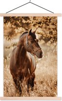 Portrait photo cheval en nature affiche textielposter lattes vierges 40x60 cm - Tirage photo sur plaque scolaire (décoration murale salon / chambre)