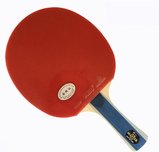 Raquette Tennis De Table Palio Expert 2.0 Avec Étui - Bois - Débutant
