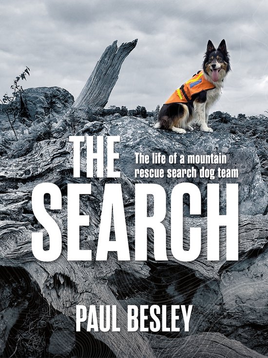 The Search - cover